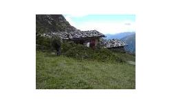 Gampis Alm - Scheat